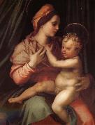 Andrea del Sarto The Virgin and Child oil painting